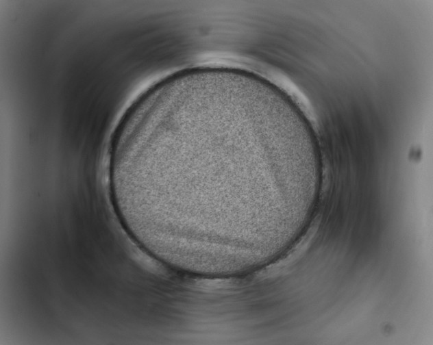 X0000102341376200808291127