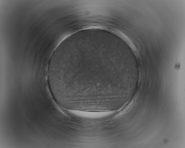 X0000102341377200808291127