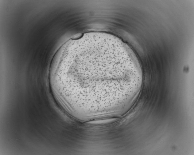 X0000102341378200808291127