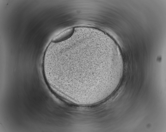 X0000102341379200808291127