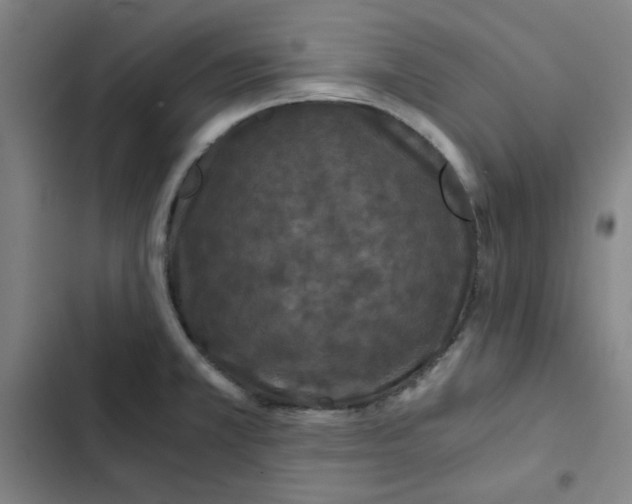 X0000102341381200808291127