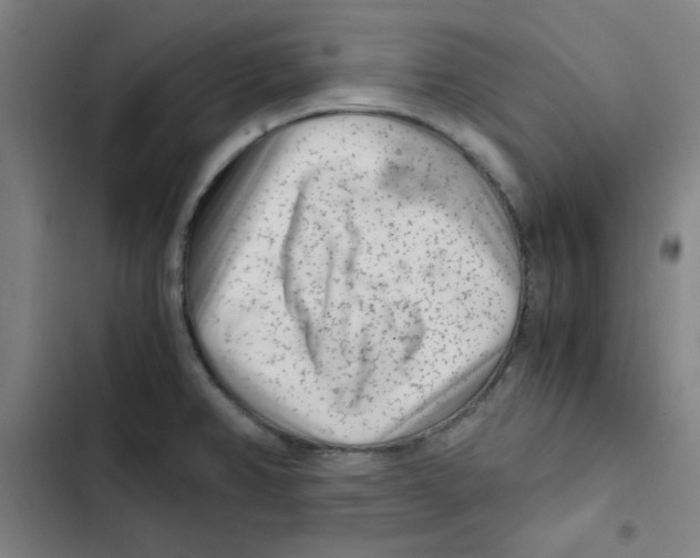X0000102341382200808291127