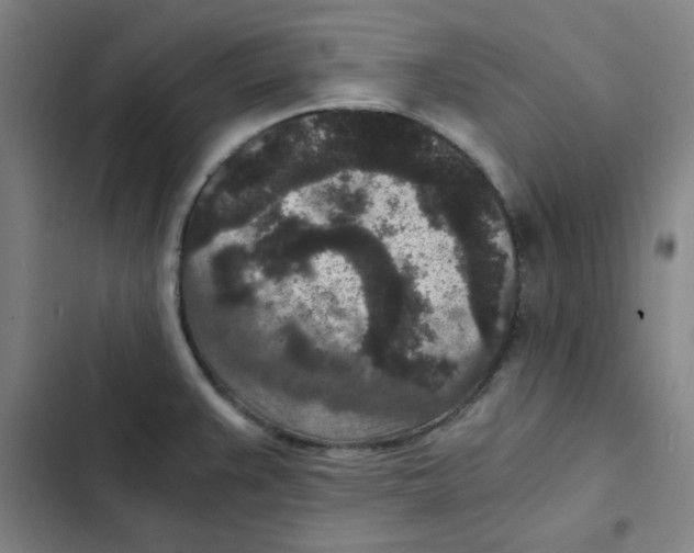 X0000102341383200808291127