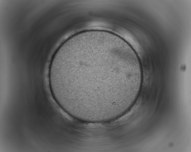 X0000102341384200808291127