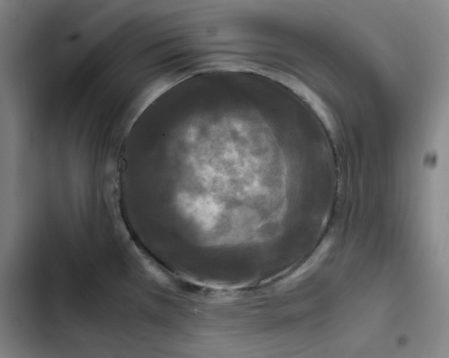 X0000102341385200808291127