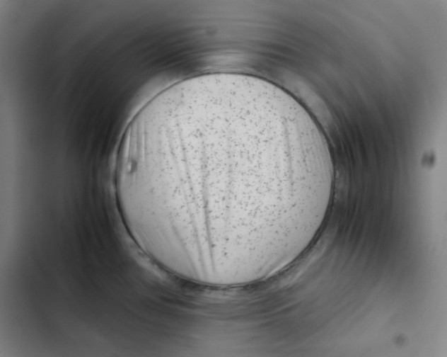 X0000102341386200808291127