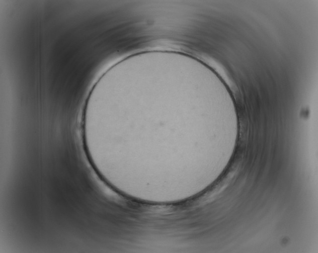X0000102341387200808291127