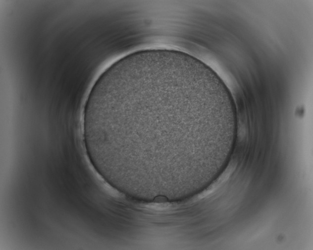X0000102341388200808291127