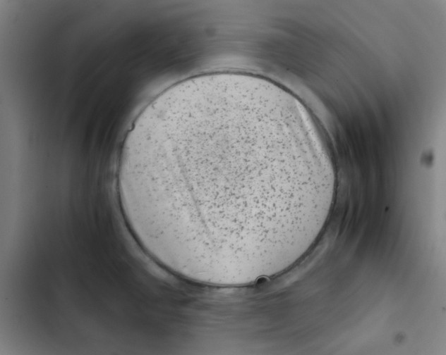 X0000102341390200808291127