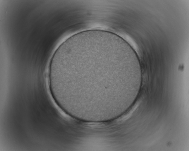 X0000102341391200808291127