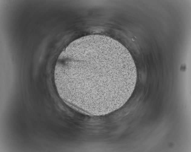 X0000102341393200808291126