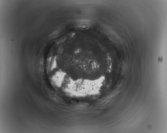 X0000102341394200808291126