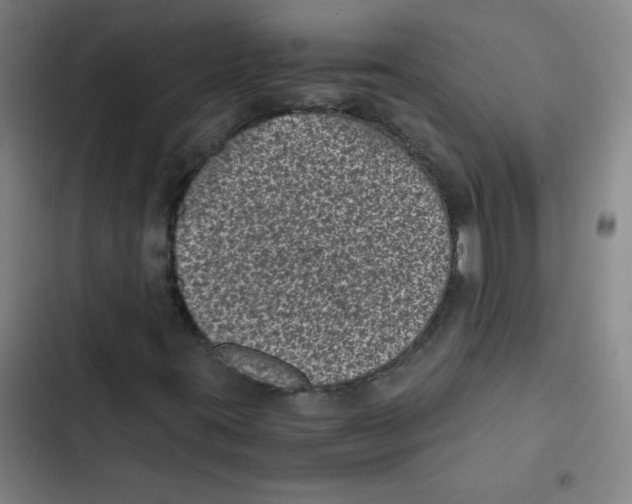 X0000102341395200808291126