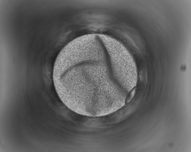X0000102341396200808291126