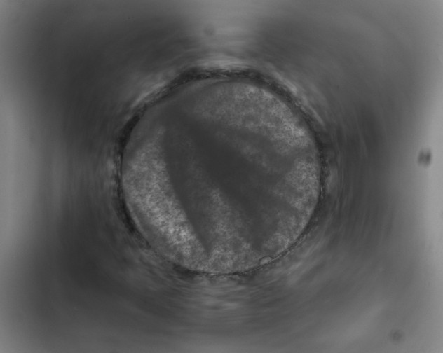 X0000102341397200808291126