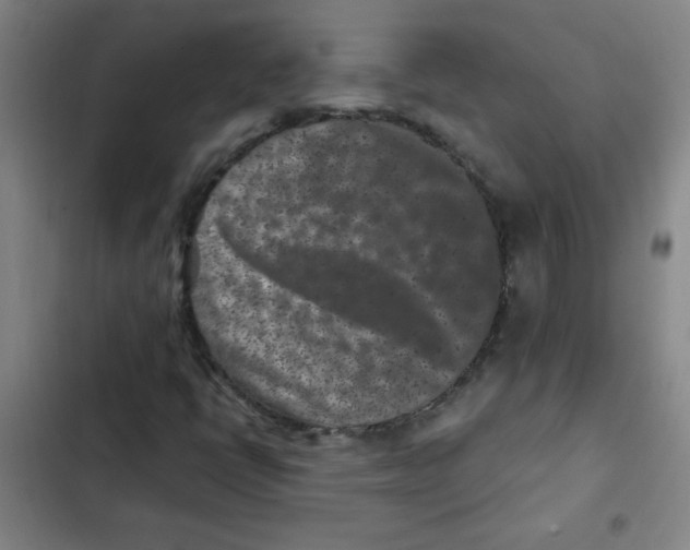 X0000102341398200808291126