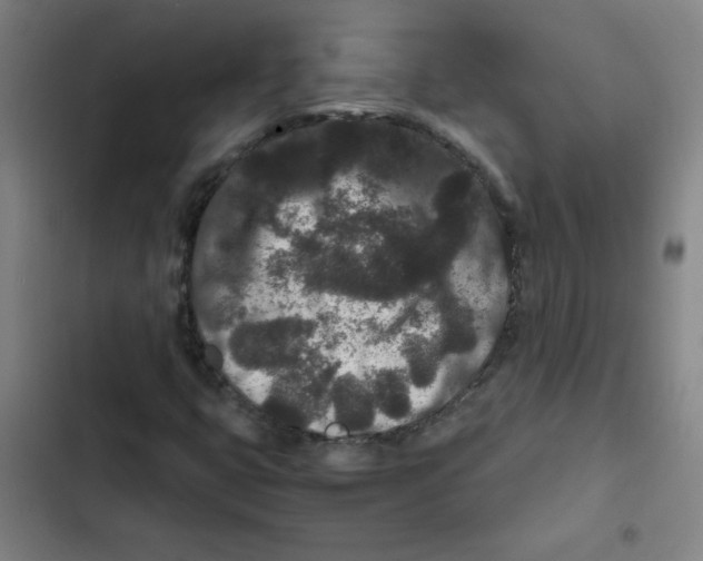 X0000102341399200808291126