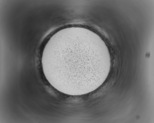 X0000102341400200808291126