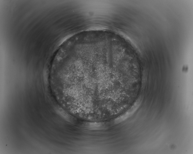 X0000102341401200808291126