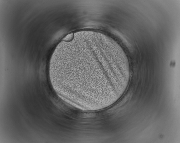 X0000102341403200808291126