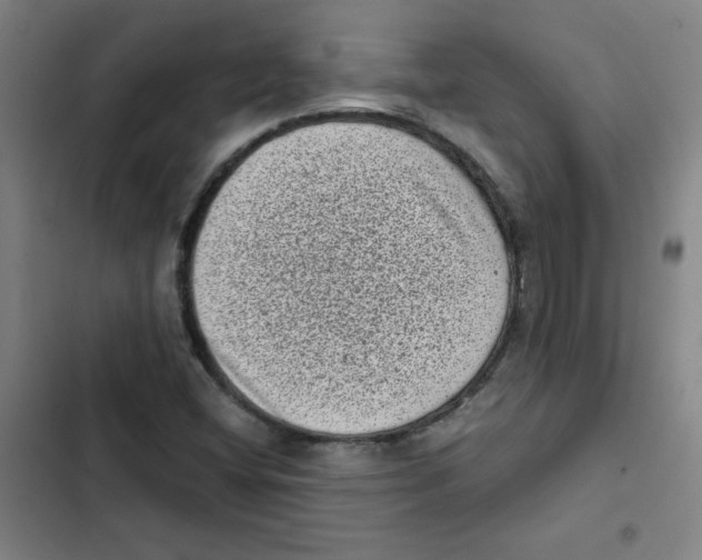 X0000102341404200808291126