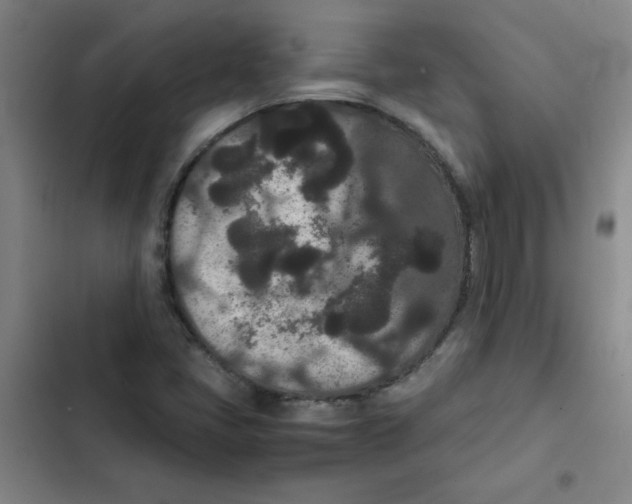 X0000102341405200808291126