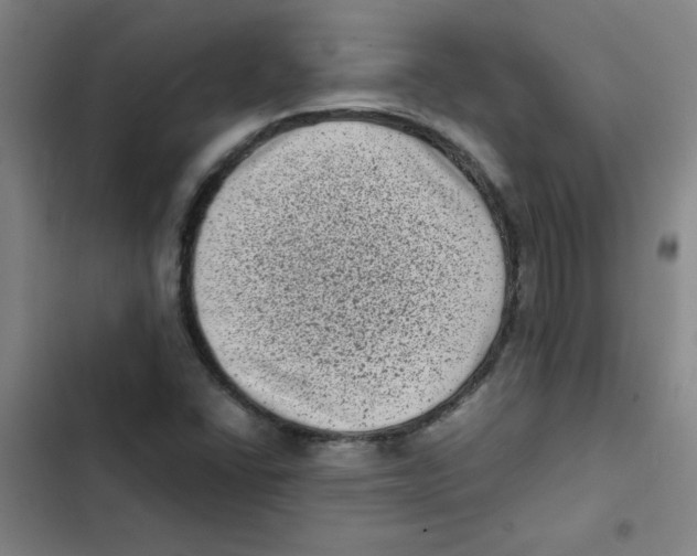 X0000102341406200808291126