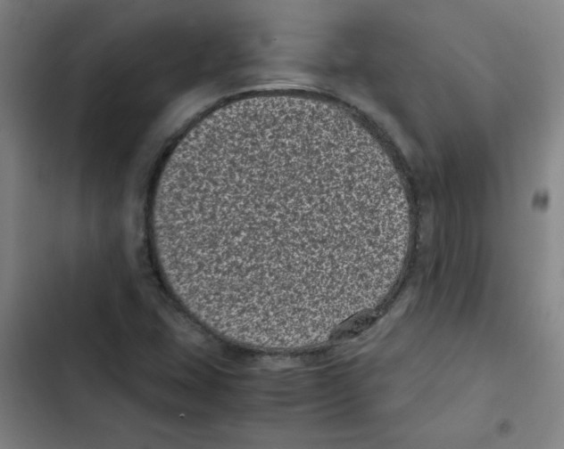 X0000102341407200808291126