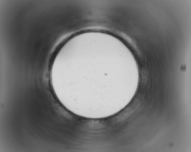 X0000102341408200808291126