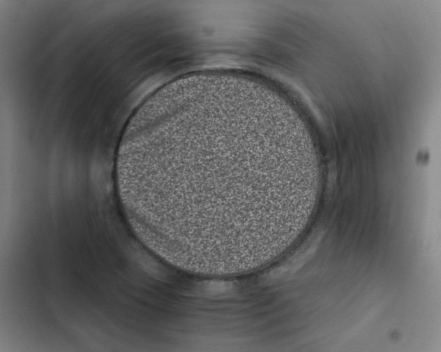 X0000102341409200808291126