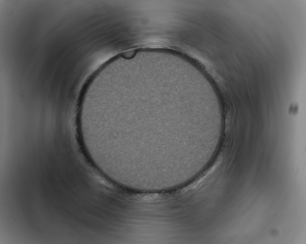 X0000102341410200808291126