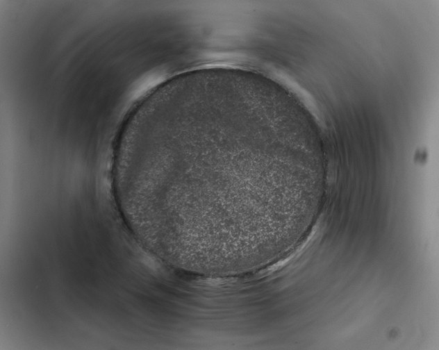 X0000102341411200808291126