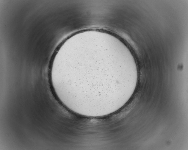 X0000102341412200808291126