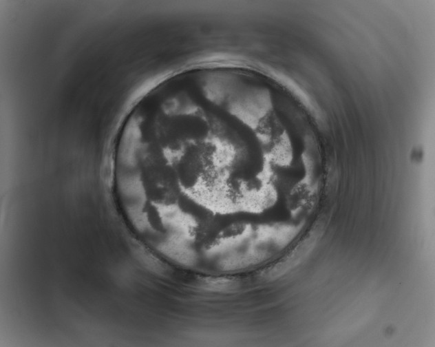 X0000102341413200808291126