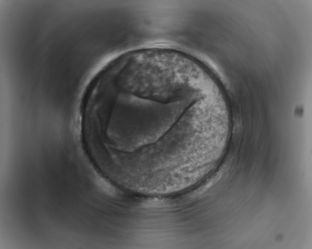 X0000102341414200808291126