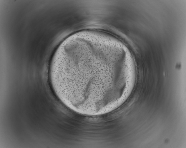 X0000102341415200808291126
