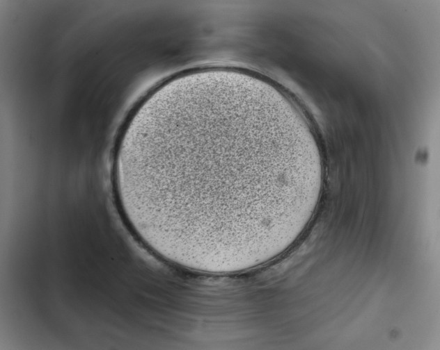 X0000102341416200808291126
