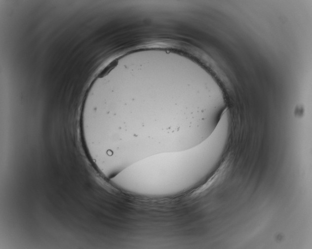 X0000102341417200808291126