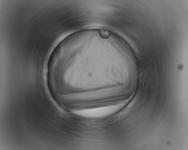 X0000102341418200808291126