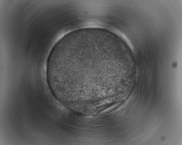 X0000102341419200808291126