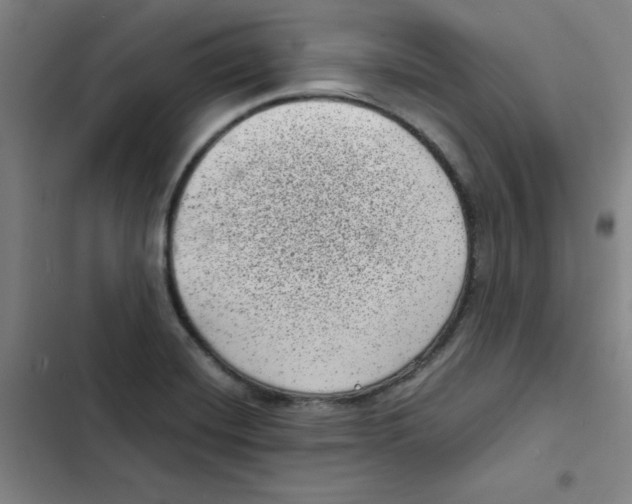 X0000102341420200808291126
