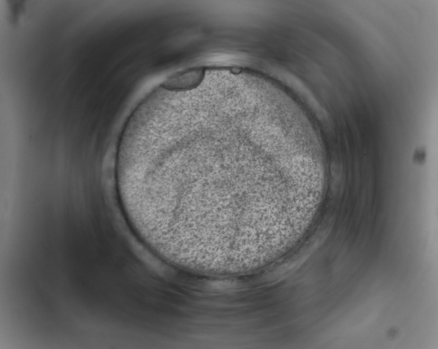 X0000102341421200808291126