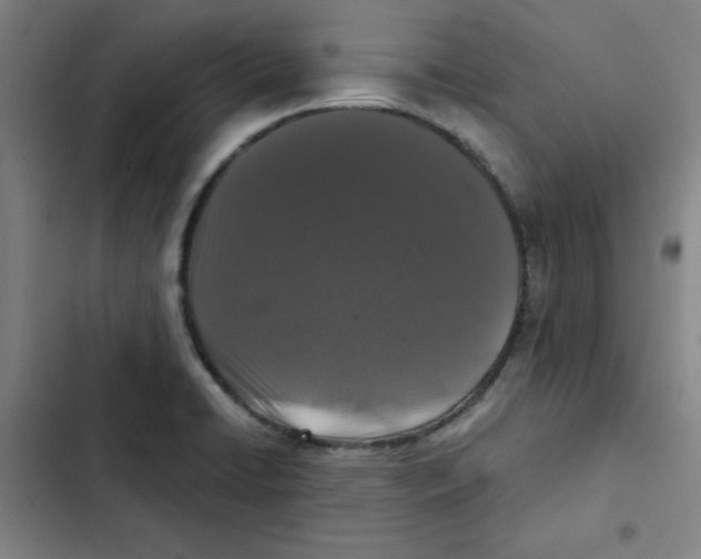 X0000102341422200808291126