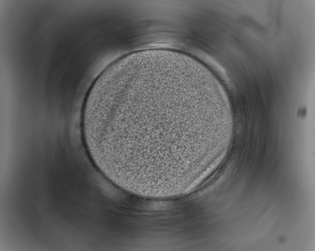 X0000102341423200808291126