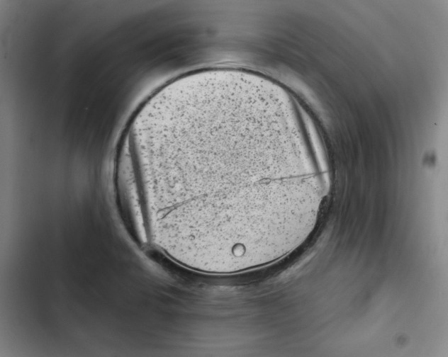 X0000102341424200808291126