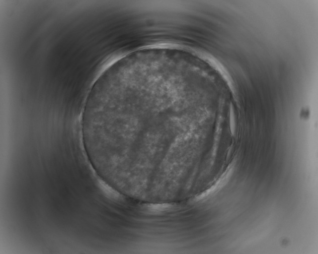 X0000102341425200808291126