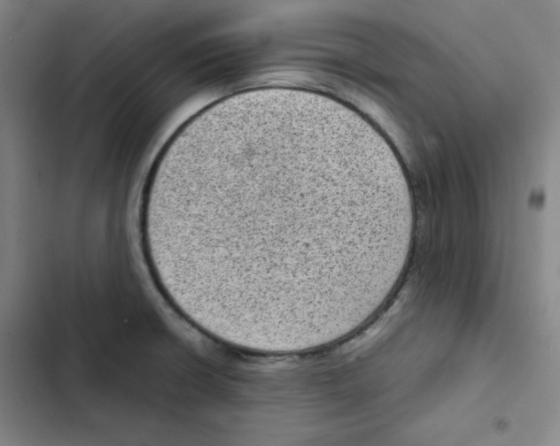 X0000102341426200808291126