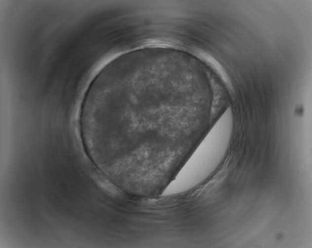 X0000102341427200808291126
