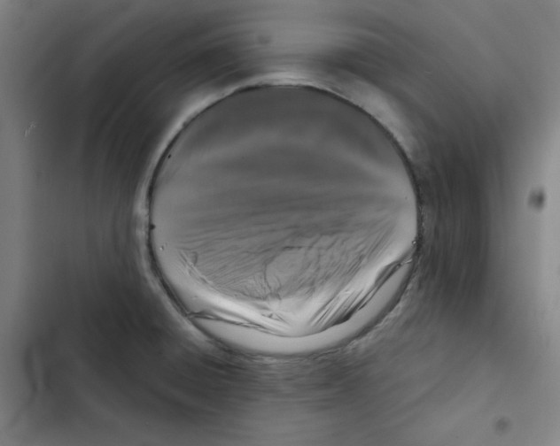 X0000102341428200808291126