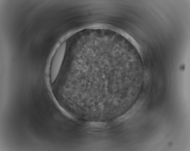 X0000102341429200808291126